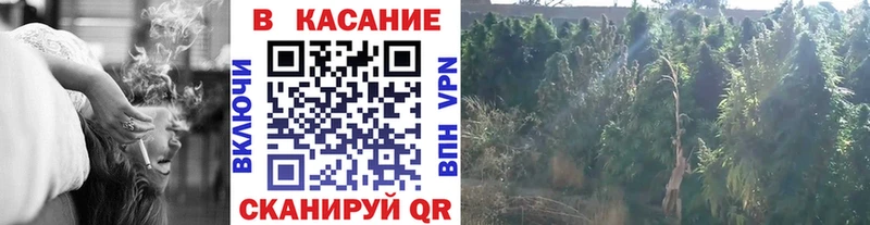 Какие есть наркотики Бикин Псилоцибиновые грибы Конопля Меф мяу мяу Гашиш Cocaine
