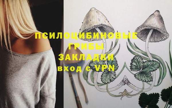 кокаин премиум Медногорск