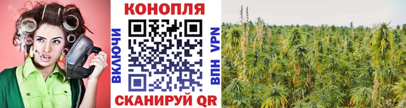 где найти наркотики  Бикин  Шишки марихуана план 